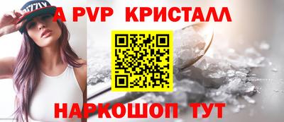 стаф Будённовск