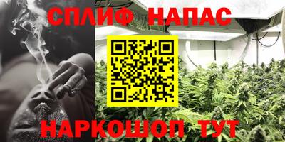 PSILOCYBIN Бузулук