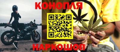 стаф Будённовск