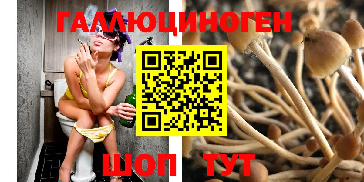 Псилоцибиновые грибы Cubensis Стрежевой