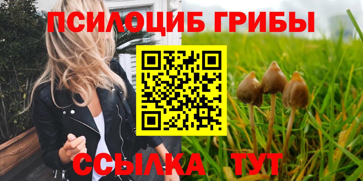 Галлюциногенные грибы Psilocybe  Вход с VPN  Стрежевой 